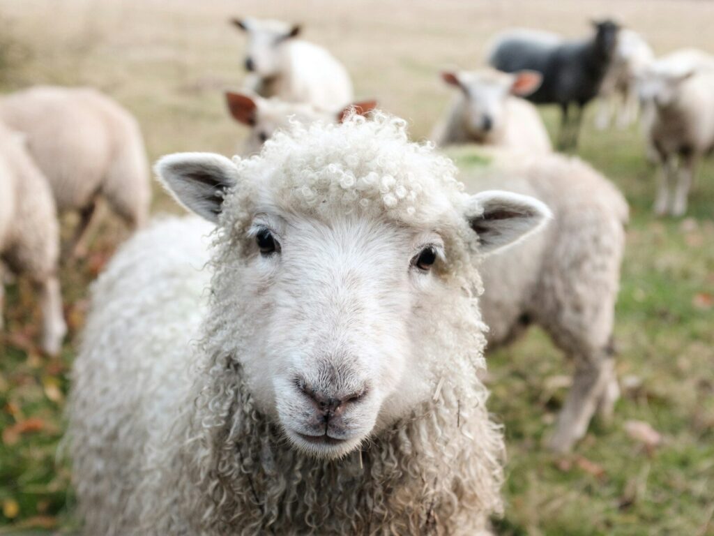 BAAAAAAAaaaaa