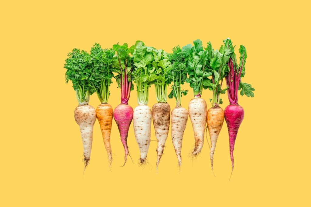 Veg Veg Veg